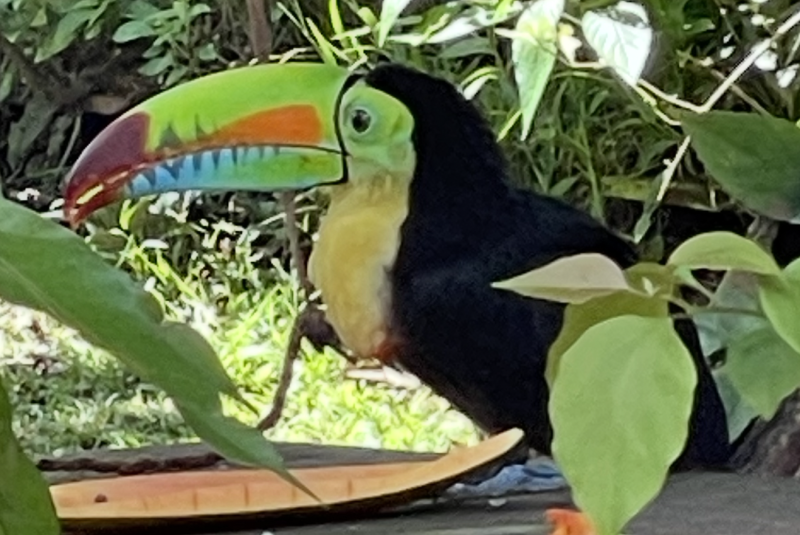 TWS CENTRAL AMERICA 2